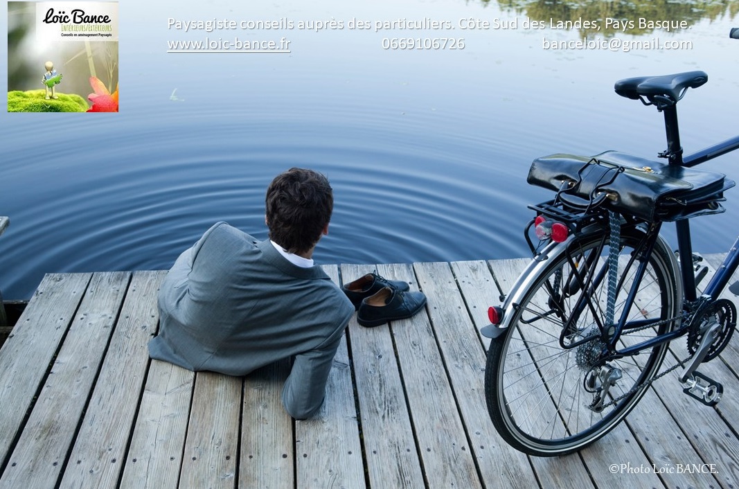 Paysagiste Landes Harmonie avec la nature