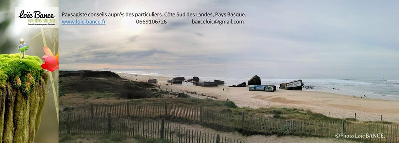 Paysagiste Landes Paysages Landes