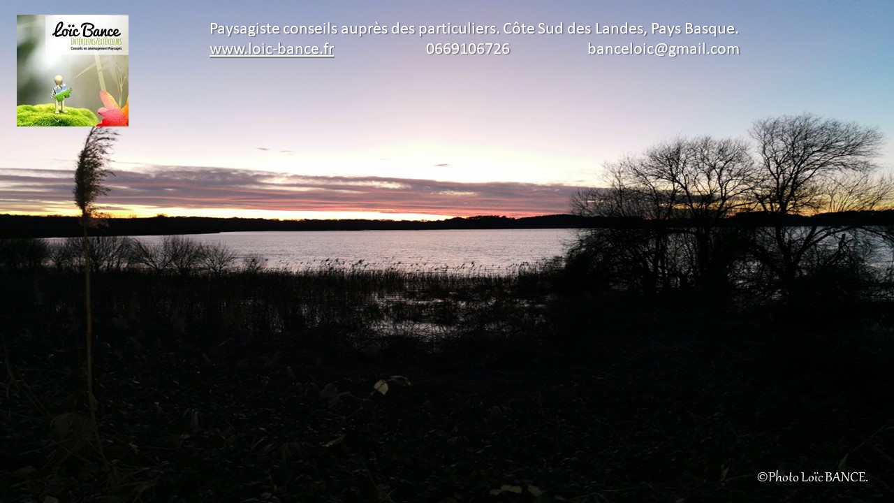 Paysagiste Landes Paysages etang