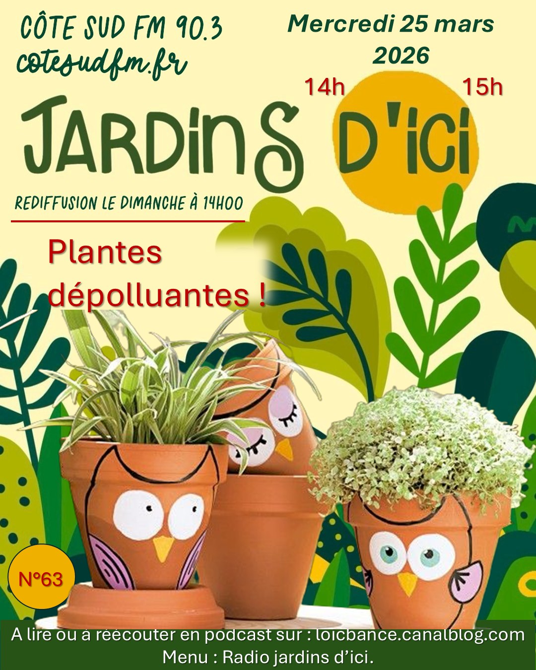 Paysagiste Landes. Jardins d'ici : Les plantes dépolluantes avec Marion les fleurs, fleuriste à Saint Martin de Seignanx 40390.. Jardins d'ici : Les plantes dépolluantes avec Marion les fleurs, fleuriste à Saint Martin de Seignanx 40390..