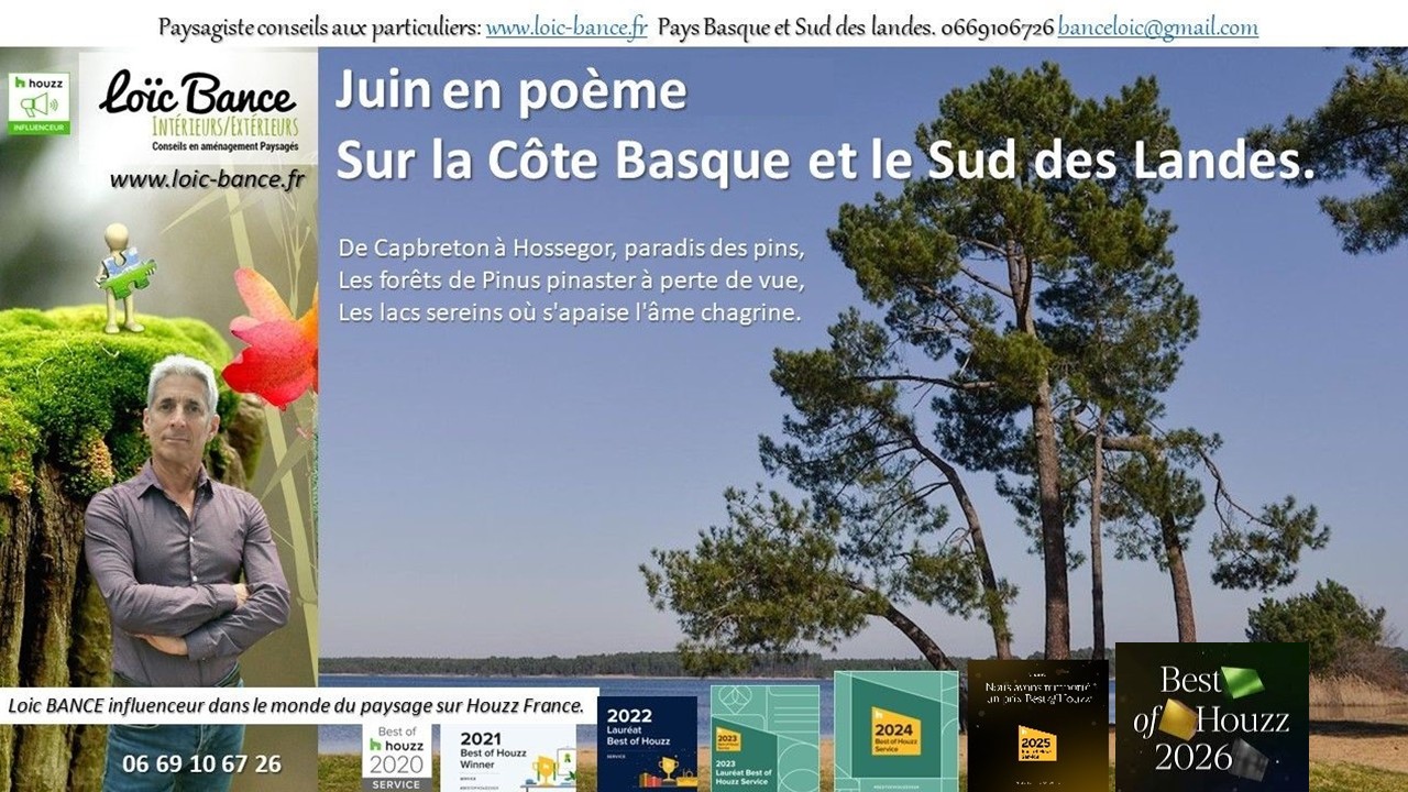Juin en po�me sur la C�te Basco-Landaise par Landes paysages