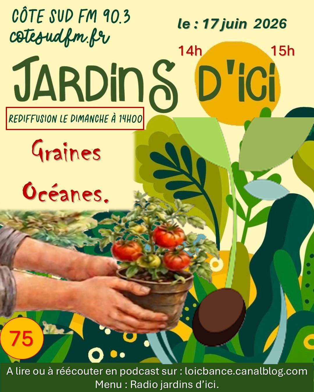 Jardins d'ici  avec Graines Oc�anes par Paysagiste Landes.