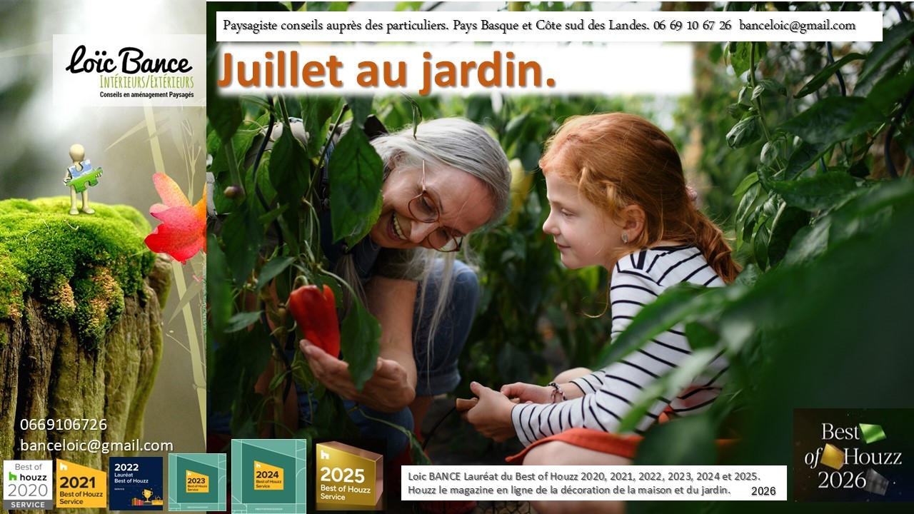 Paysagiste Landes Juillet au jardin.