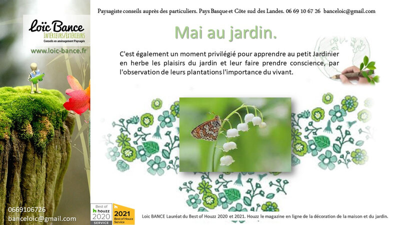 Les travaux du jardin en mai par Paysagiste Landes