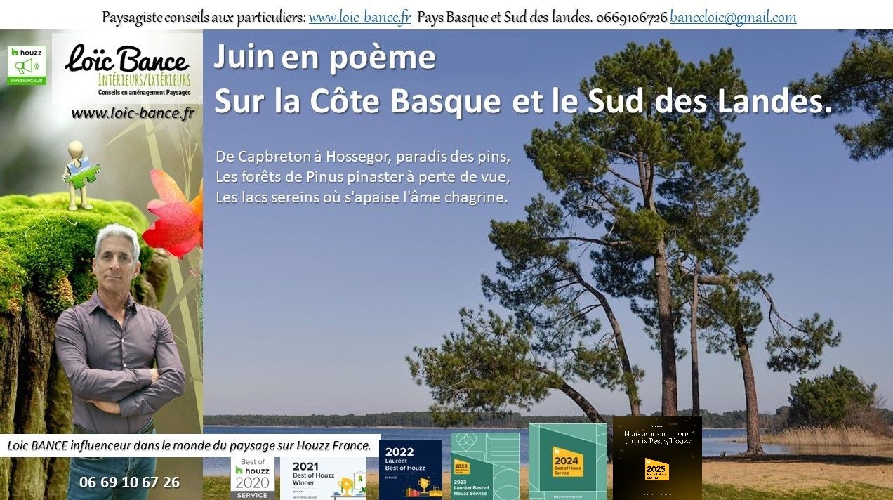 paysages; Landes; Pays Basque; Paysagiste; Paysagiste Landes; Paysagiste Pays Basque; Loc BANCE; Concepteur de jardins; Amnagements paysagers; Paysagiste conseils aux particuliers; Juin; 