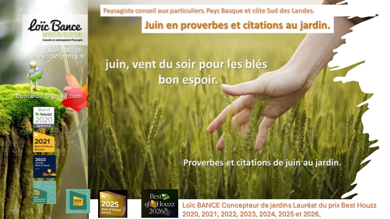Juin en proverbes et citations. Landes paysages