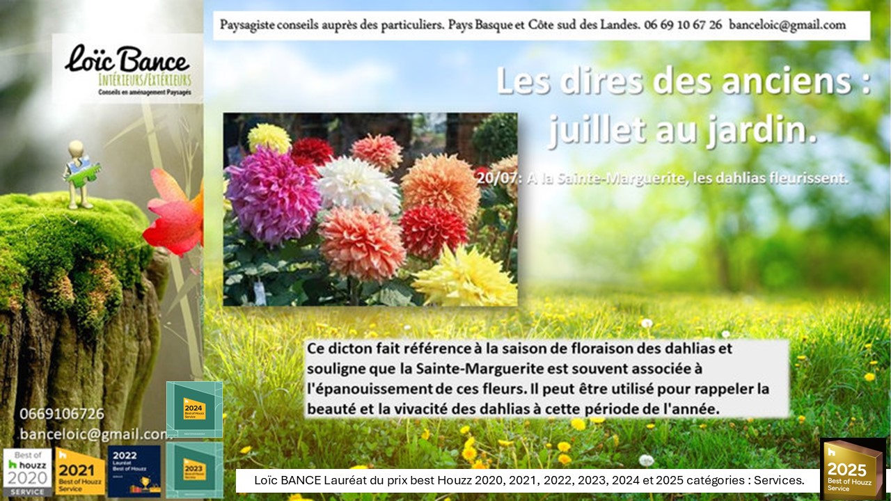 Proverbes; juillets; jardins; Loc BANCE; concepteur de jardins; Landes; Pays Basque; Paysagiste conseil; Paysagiste Landes; 